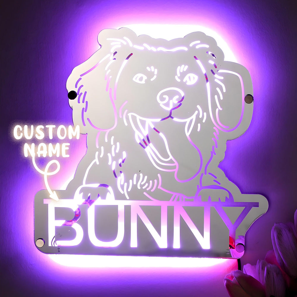 Pet Photo Mirror Light