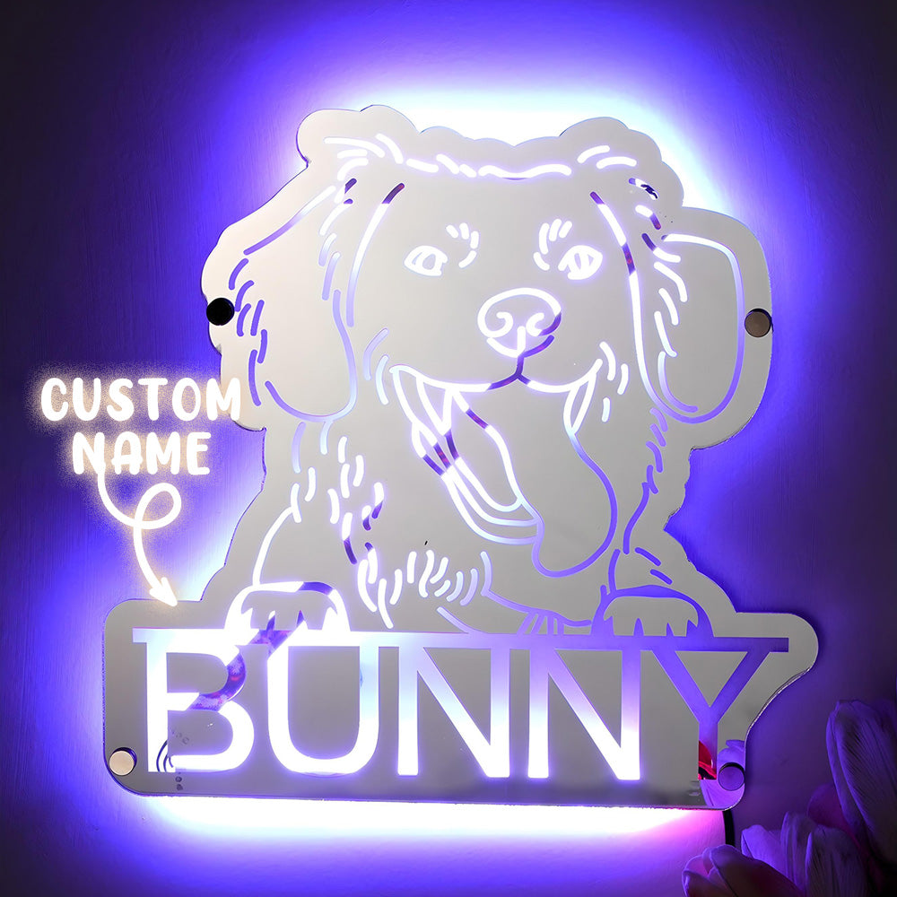 Pet Photo Mirror Light