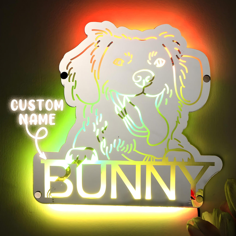 Pet Photo Mirror Light