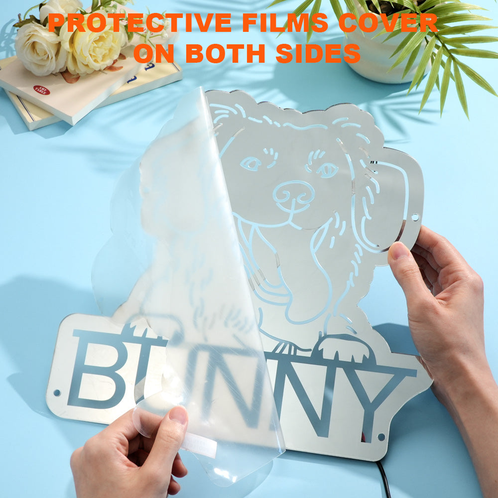 Pet Photo Mirror Light