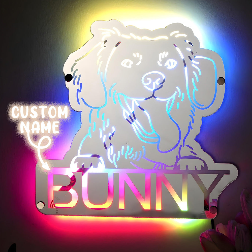 Pet Photo Mirror Light