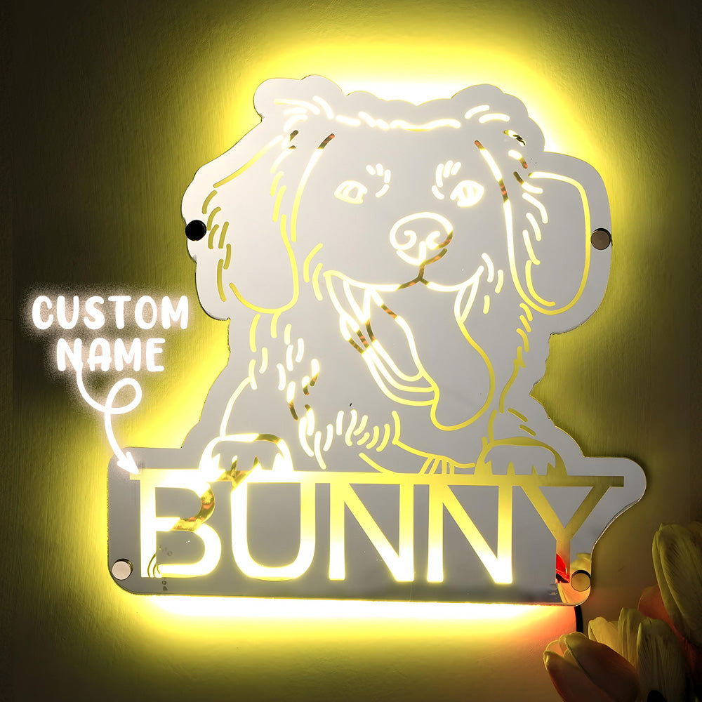 Pet Photo Mirror Light