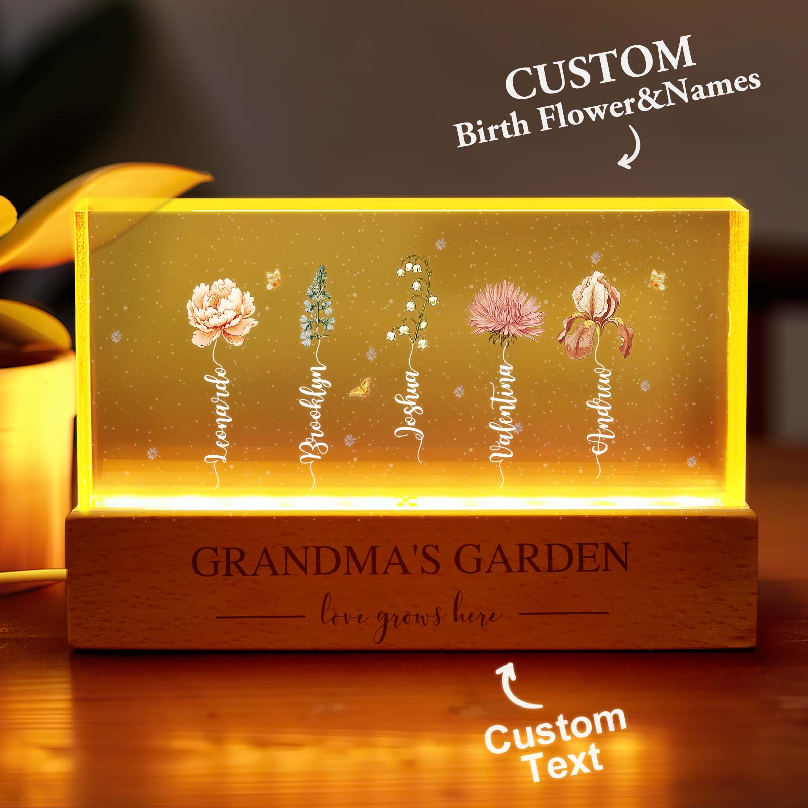 Grandma's Garden Birth Month Flower Acrylic Night Light
