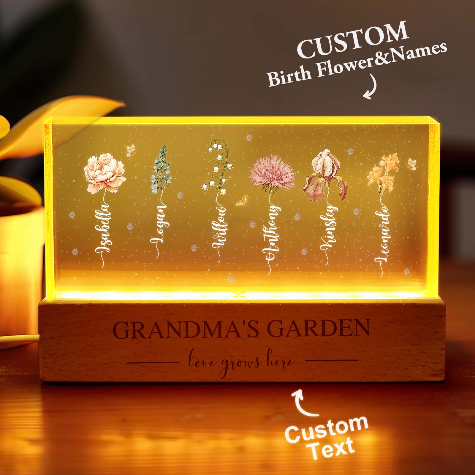 Grandma's Garden Birth Month Flower Acrylic Night Light